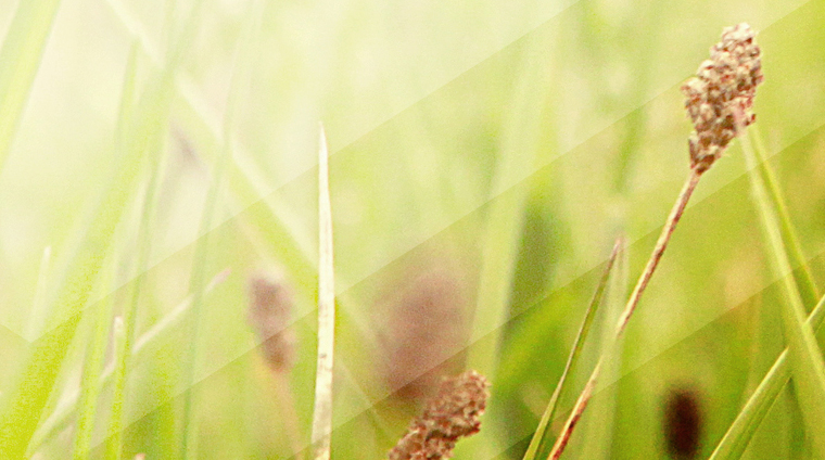 新的改变 (2026年02月15日)