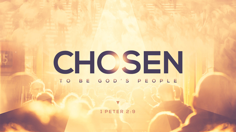 使命人生 (2025年11月23日)